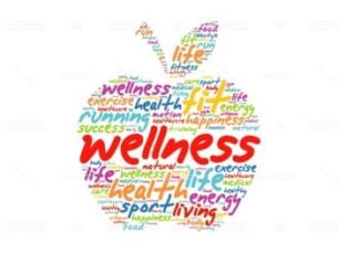 Texas massage 12 ce West Virginia 12 ce massage west virginia massage continuing education South Dakota massge 12 ce south dakota massage continuing education Texas Massage Continuing Education texas massage 13 ce