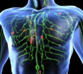 alabama massage 12 CE alabama massage continuing education immune system and massage therapy 2 ce