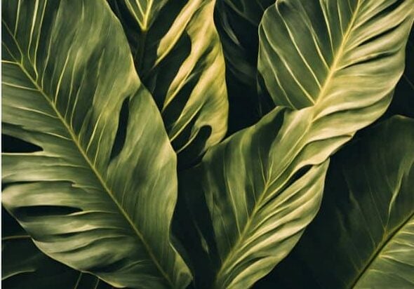 Indiana 12 massage ce indiana massage continuing education new mexico 12 massage ce new mexico massage continuing education