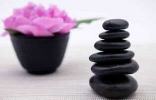New Jersey Massage 6 CE Bundle New Jersey massage continuing education